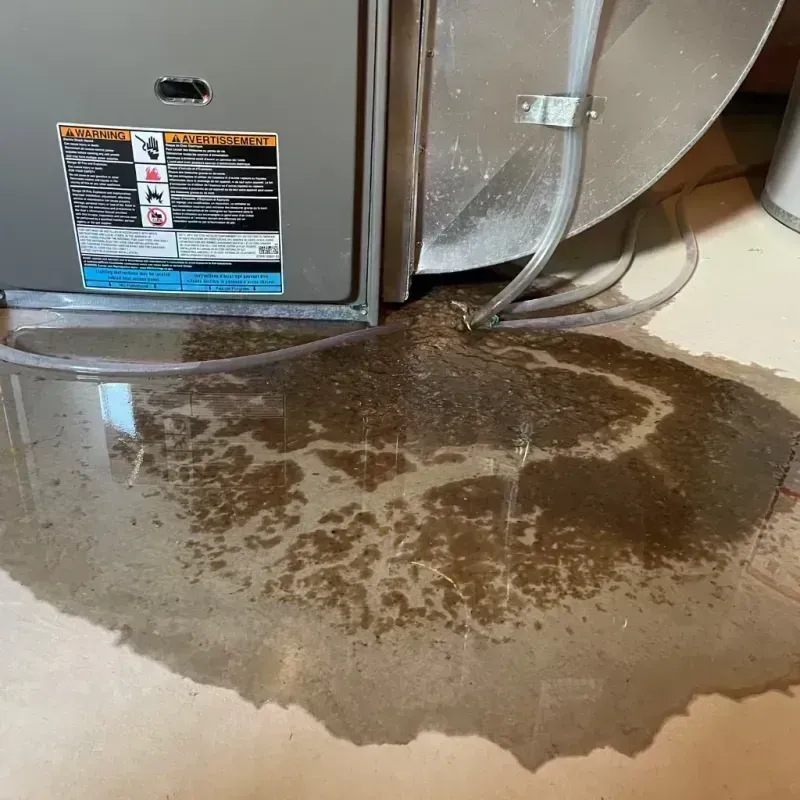 Appliance Leak Cleanup in South Gate, CA